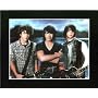 Jonas Brothers (Group, With Guitars) Music Poster Print - 11" X 17"