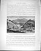 Palestine 1881 Wady Solief Solaf Sinai Shittim-Tree
