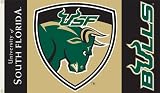 SOUTH FLORIDA 3 X 5 FLAG