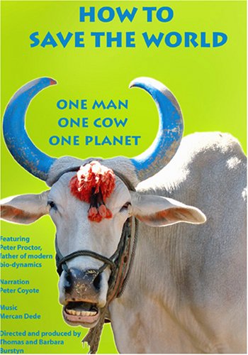 How to Save the World