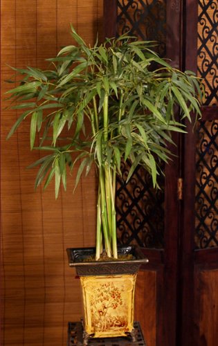 Silk Bamboo Tree in Asian Décor Planter GR118-62