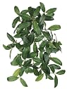 24 Inch Green Laurel Hanging Bush x8 with 99 Leaves and 60 Berries - Qty of 6