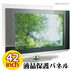 MOTION 液晶テレビ保護パネル 反射防止/アンチグレア加工 42インチ用 テレビガード 保護プロテクター ITG-42AG