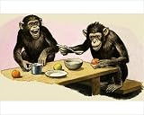 Photographic Print of Z for Zoo. Chimpanzee s tea-party