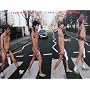 Red Hot Chili Peppers, 25x19 Color Socks (Abbey Road Spoof)