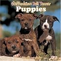 Staffordshire Bull Terrier Puppies 2007 Wall Calendar