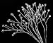 Crystal Rhinestone Bling Bling - Pkg 12 Stems - Accent Florals, Weddings and More