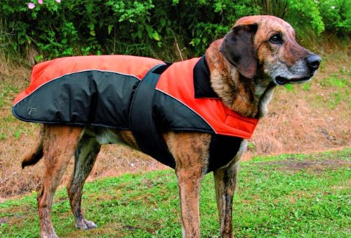 Tcoat Nizza, Hundemantel, M, 50 cm, orange-schwarz