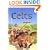 Celts (Usborne Beginners)