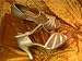 ladies ballroom latin dance shoes gold and mesh size 4.5 mandy