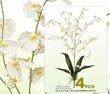 FOUR 31" Dancing Oncidium Orchid Artificial Silk Flower Bushes