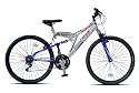 British Eagle Trailbreaker 24" wheel Dual suspension 18 speed bike