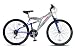 British Eagle Trailbreaker 24 wheel Dual suspension 18 speed bike