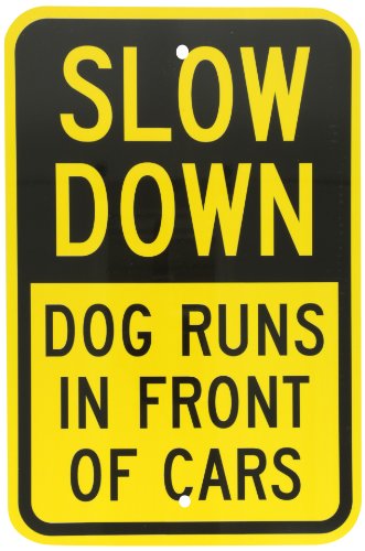 quot;Slow Down - Dog Runs