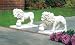 Alabastrite Garden Lion Pair - Style 31640