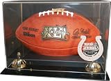 Indianapolis Colts Super Bowl XLI Champs Logo NFL Football Display Case