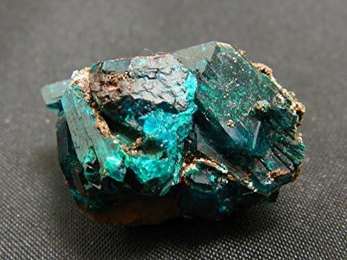 Dioptase Dioptaze Cluster From Congo - 1.3"