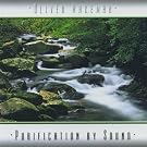 Purification By Sound