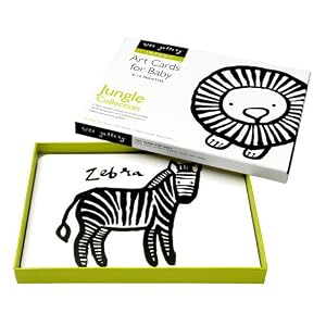 Art Cards - Jungle Collection