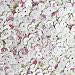 5mm Flat Round SEQUIN PAILLETTES ~ Spring Flowers Petite Fleur Floral Print on White ~ Loose sequins