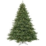 8.5' Pre-Lit Blue Frasier Fir Christmas Tree - Clear Lights