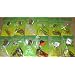 12 Assorted Buzz baits Carded NIP Fishing Tackle Lure