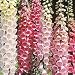 Foxglove Excelsior Hybrid Mix 100 Seeds-Digitalis