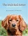 The Irish Red Setter: It's History, Character and Training