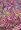 Judas Tree 20 Seeds/Seed - Tree of Love - Cercis
