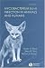Mycobacterium Bovis Infection in Animals and Humans