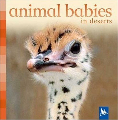 Animal Babies in Deserts
