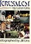 Jerusalem: Song of Songs: A Passionate History of a Unique and Inspiring City