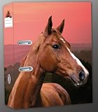 Produkt-Bild: Ordner A4 Pferd, fuchs