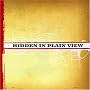 Hidden in Plain View