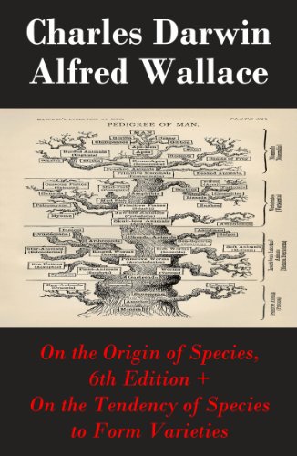 El perro del hortelano (Spanish Edition)