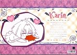 Karin (Chibi Vampire) Anime Character Design Sketch Book [Japanese Import]