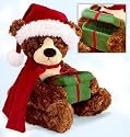 Stuffed Bear