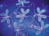 Silver Dragon Flies with Blue LED String (Rope) Lights / Outside Garden or Indoor Use / Low Voltage