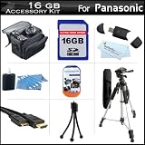 16GB Accessory Kit For Panasonic HDC-TM41 HD Camcorder Includes 16GB High Speed SD Memory Card + 57