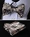 SetSense Men's Floral Jacquard Wedding Party Self Bow Tie Pocket Square Set Gold / Navy Blue