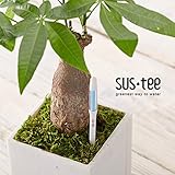 植物用水分計サスティーLサイズホワイト 1個セット[色の変化で水やりのタイミングをお知らせ！]