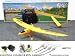 REMOTE CONTROL rc Yellow Bee Remote Radio Control Mini RC Plane Airplane