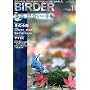 BIRDER (�o�[�_�[) 2009�N 11���� [�G��]