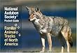 National Audubon Society Pocket Guide to Familiar Animal Tracks (National Audubon Society Pocket Guides)