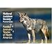 National Audubon Society Pocket Guide to Familiar Animal Tracks (The Audubon Society Pocket Guides)