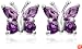 Sterling Silver Amethyst Butterfly Earrings
