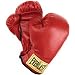 Everlast Pro Leather Boxing Glove - 10 oz. by Everlast