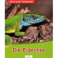 Die Eidechse