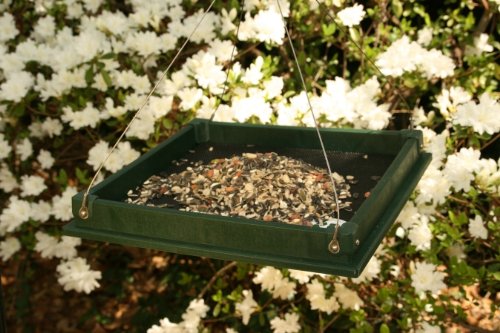 Songbird Essentials Hanging Platform Feeder