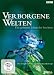 Verborgene Welten - Das geheime Leben der Insekten (2 DVDs)